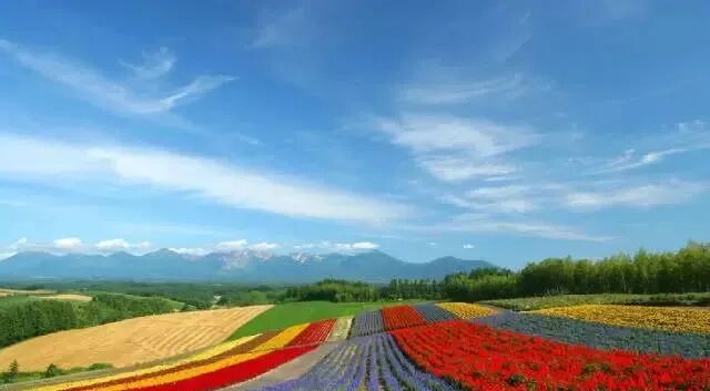 北海道旅游攻略 谁说只有冬天才好玩 北海新闻