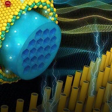 小丑竟是我自己！三大电容全都要，绝对国内头一家，江海股份：要做最靓的仔，奈何处处不如人（暨铝电解电容器四小强横评） | 风云主题