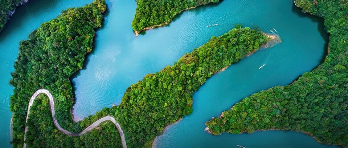 募资35亿，分红140亿，自由现金流118亿，吾股排名第50的重庆水务：无他，股息高，现金多 | 专注主业