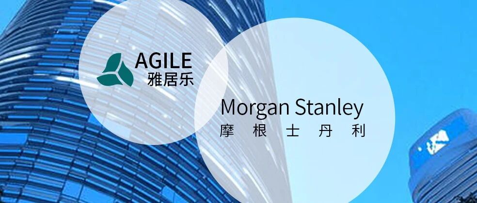 53亿负债竟然变成41亿利润！雅居乐，摩根士丹利指导下的财务幻术