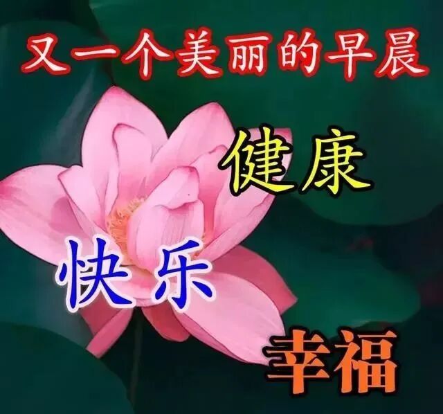 亲爱的朋友 大家早上好非常可爱的宝宝春季问候表情图片温馨暖心的早安祝福语语录 早安励志早安心语 微信公众号文章阅读