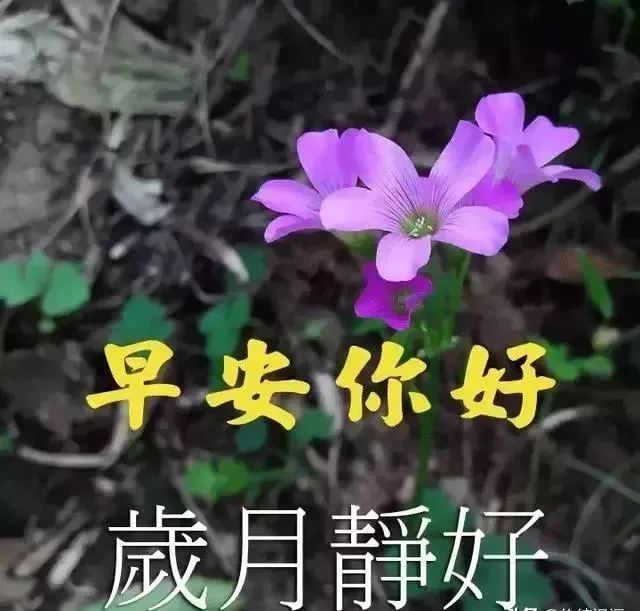 秋季超级暖心的早上好祝福语录句子 早晨好漂亮问候图片送给你 早安励志早安心语 微信公众号文章阅读 Wemp