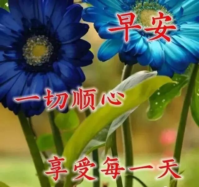 4月28日周二最新早安问候语动态图片表情早上好问候祝福动态表情图片 早安励志早安心语 微信公众号文章阅读 Wemp