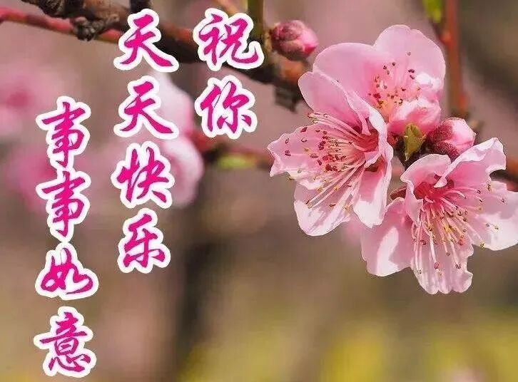 2021特漂亮的早安图片祝福语录 大家早晨好图片唯美带字_非主流个性网