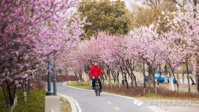 福利 | 骑艺果课堂招募啦！人间四月天送你一节免费写生课。