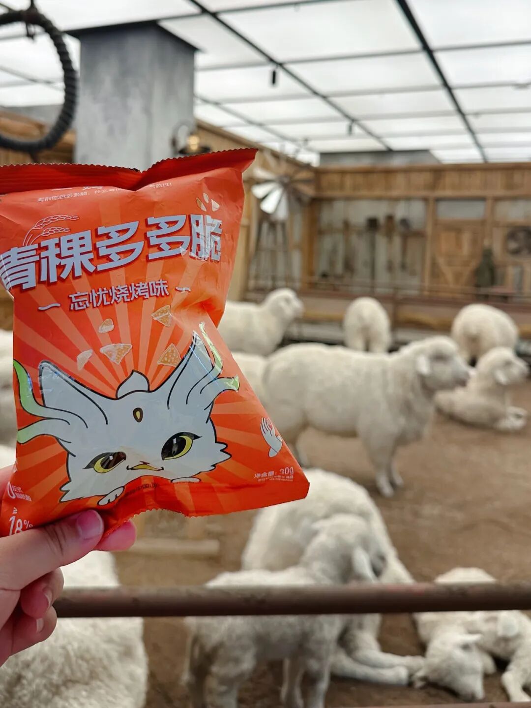 极地公园的白鲸,哈尔滨音乐公园的雪人,大熊猫花花,皮卡丘,故宫的胖喵