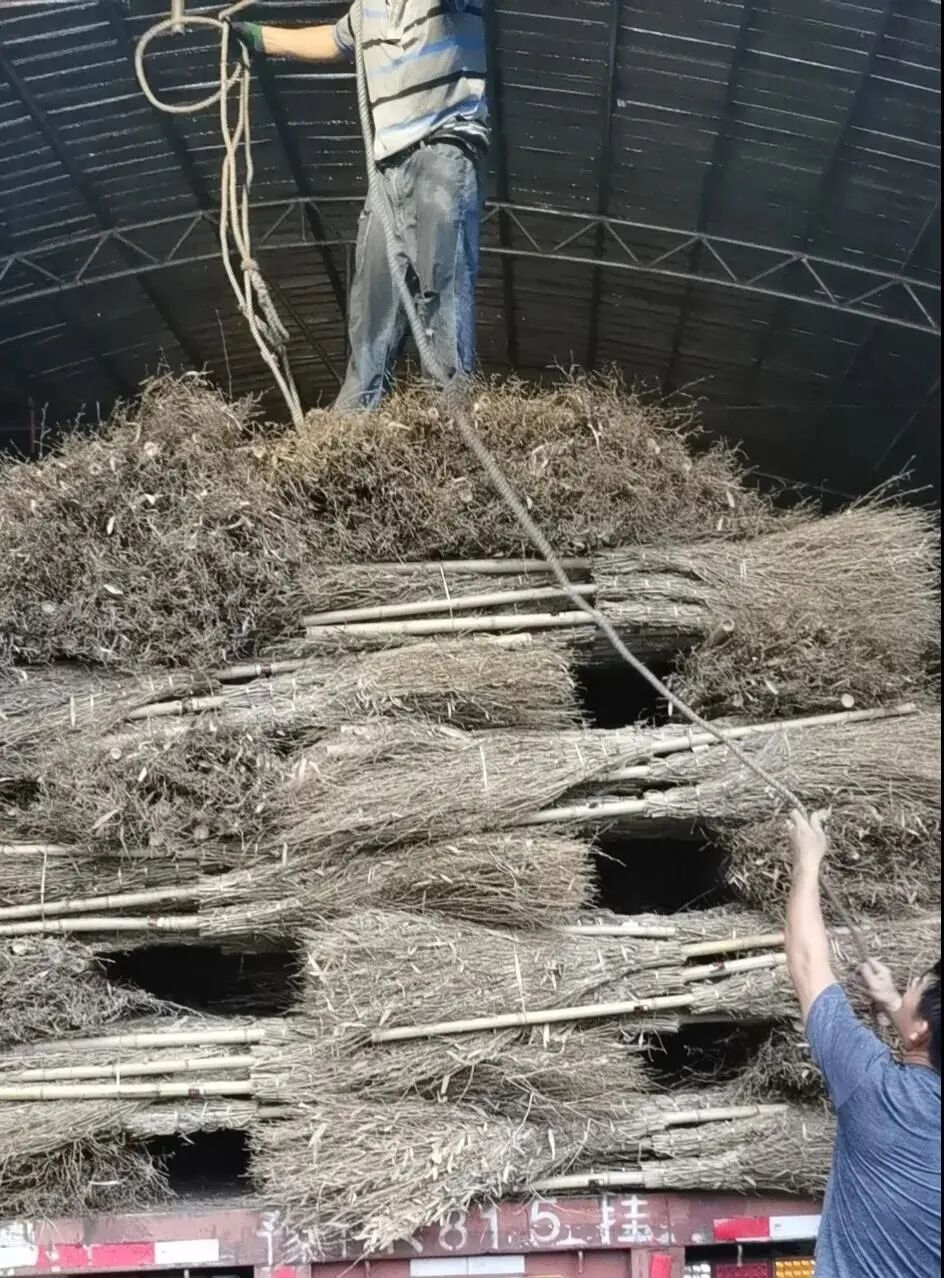 驰援河南，温州佛教界在行动