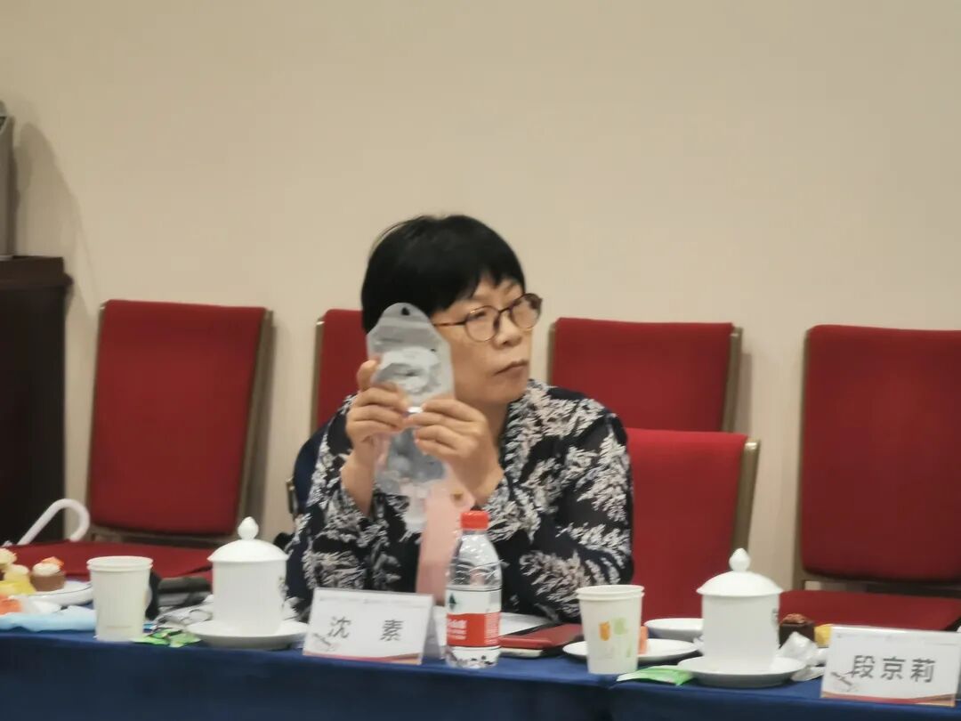 为什么建立双输液通道合理用药系列 ｜ 粉液双室袋产品合理用药研讨会成功举办_https://www.jmylbn.com_新闻资讯_第10张