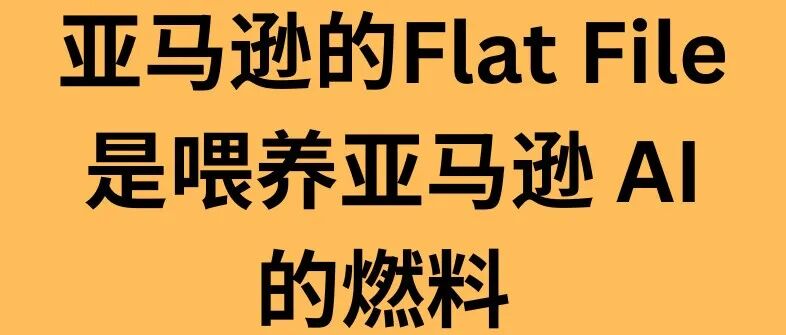 亚马逊的Flat File 已经从"可填可不填的表格"变成了"喂养 AI 的燃料"。 填好数据，掌控算法。