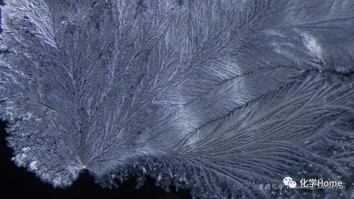 重现化学:几种常见金属显微镜下的结晶之美!