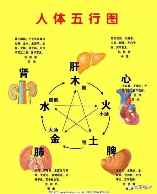 五行上属 金 木 水 火 土 的行业有哪些 陰陽宅風氺 微信公众号文章阅读 Wemp
