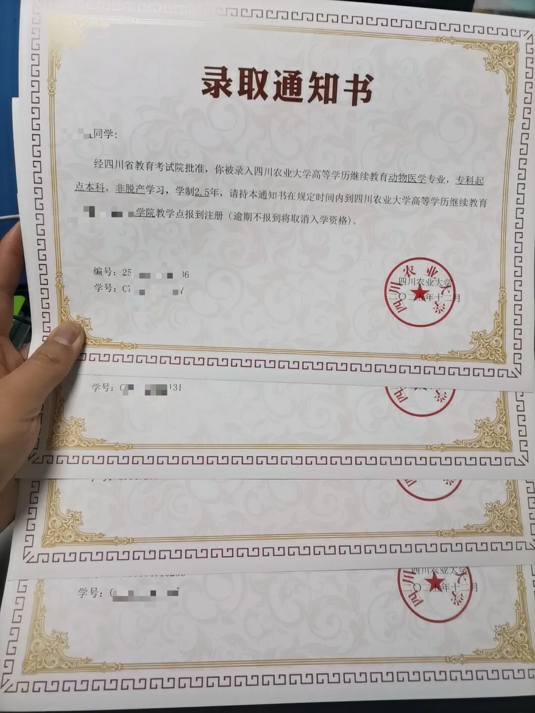 640 (7).webp