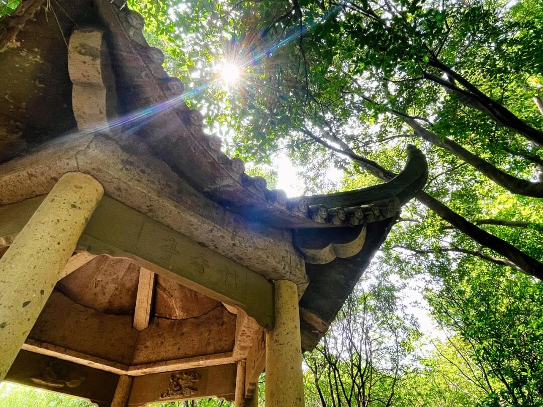 满眼青绿宝山这座公园你去过吗