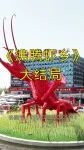 《沸腾虾乡》大结局
