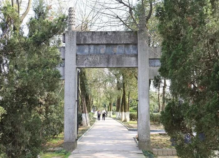 花间事橙光游戏_花间事果喵女尊txt_花间淫事小说