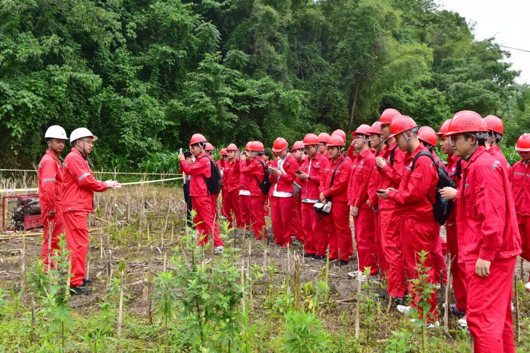 一次难忘的“沉浸式”体验