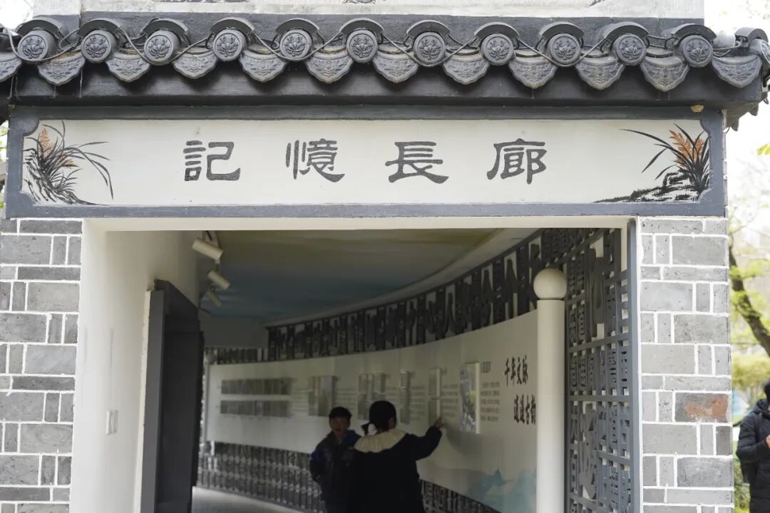 四月，来逍遥津公园赴春日之约~