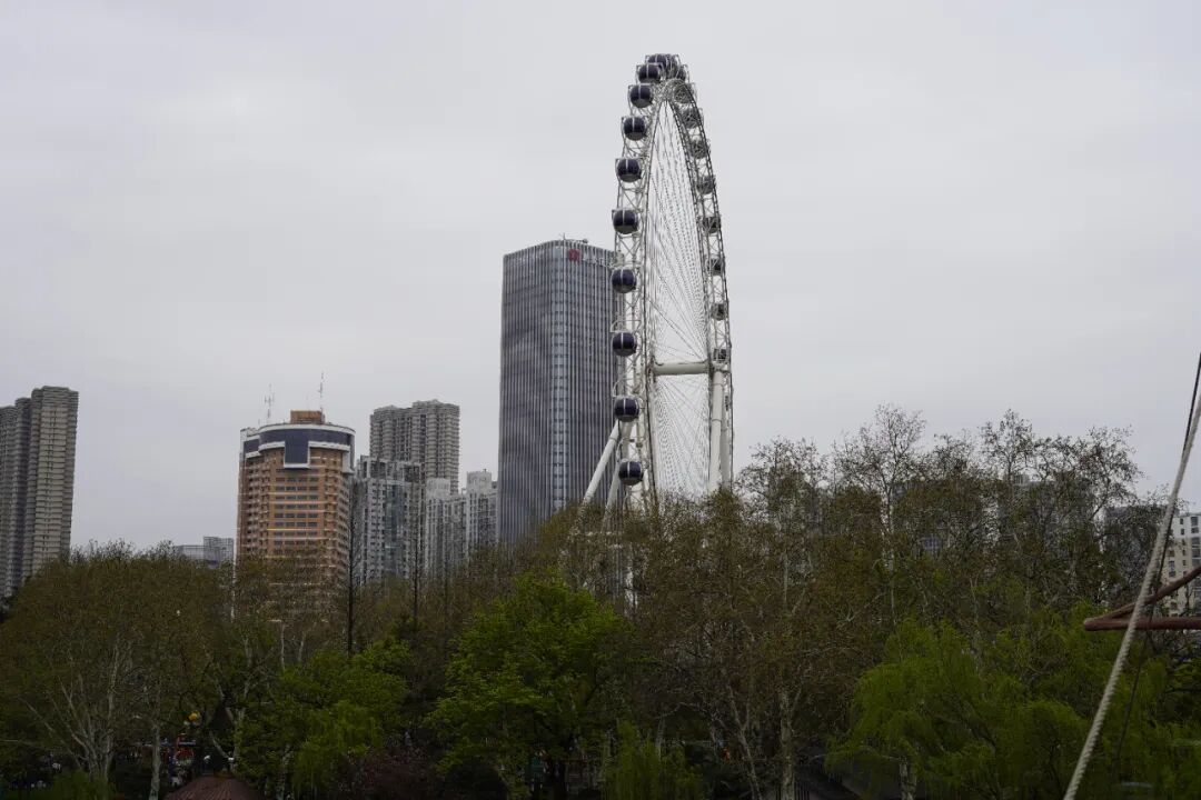 四月，来逍遥津公园赴春日之约~