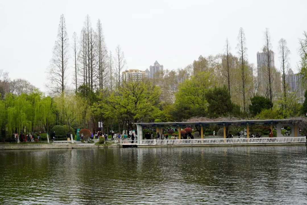 四月，来逍遥津公园赴春日之约~