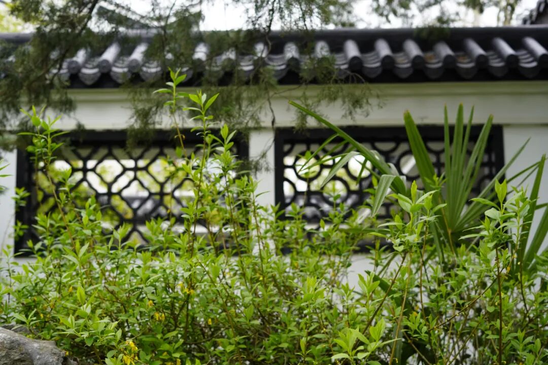 四月，来逍遥津公园赴春日之约~