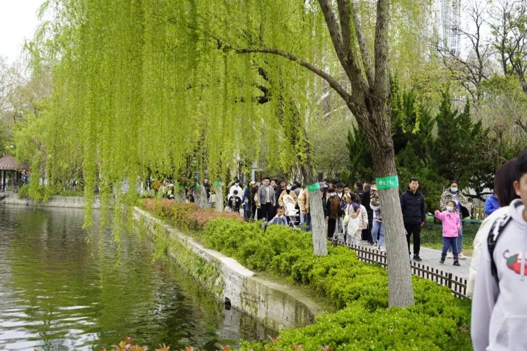 四月，来逍遥津公园赴春日之约~