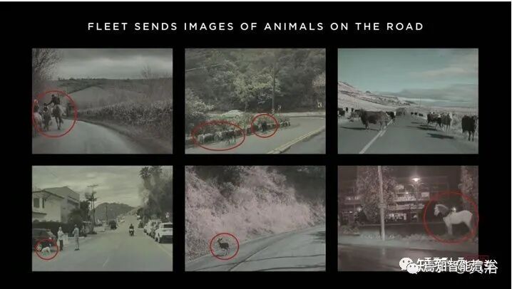 回顾特斯拉AutopilotAI总监AK上任以来的报告的图24