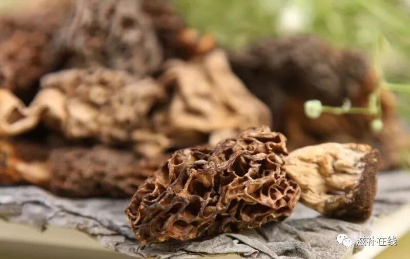 羊肚菌的功效太多，那么羊肚菌怎么吃好呢？