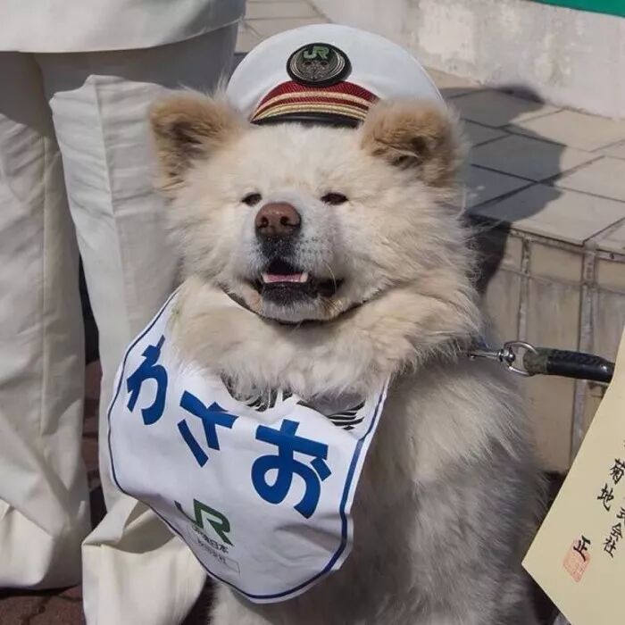 亲姐弟嘴对嘴喂食、掀衣服亲肚脐、同床共枕...却声称是因为爱？？（组图） - 9