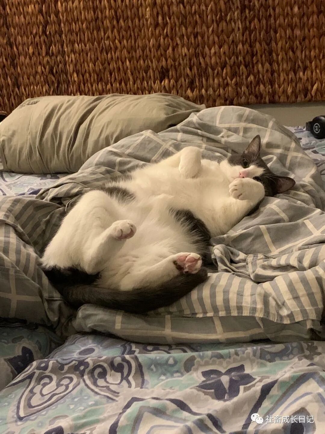 直男的靈魂拷問 為什麼要自殘 中國熱點