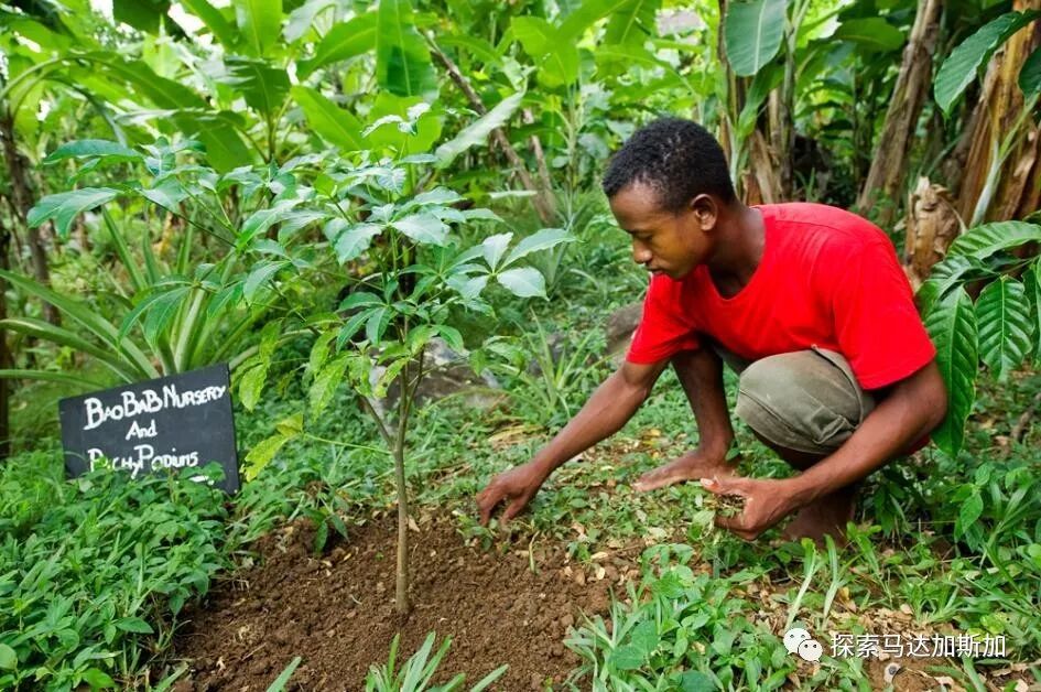 马达加斯加酒店