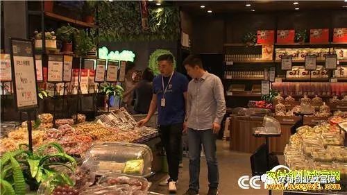 视频致富经_致富经全部视频_致富小视频