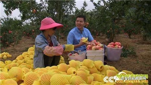 致富小视频_视频致富经_致富经全部视频