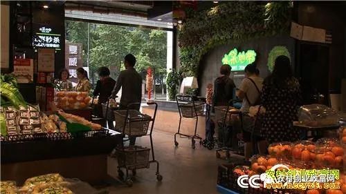 致富经全部视频_视频致富经_致富小视频