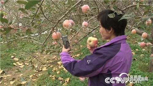 致富经全部视频_致富小视频加工厂_致富经视频下载官方网站