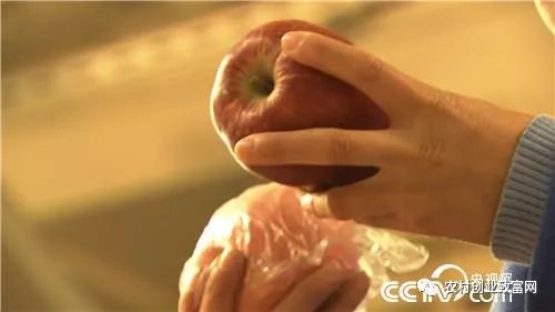 致富经视频下载官方网站_致富经全部视频_致富小视频加工厂