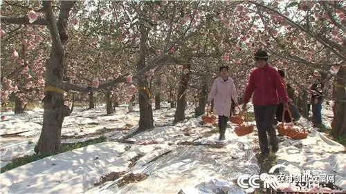 致富小视频加工厂_致富经视频下载官方网站_致富经全部视频