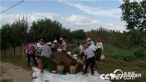 视频致富经_致富小视频_致富经全部视频