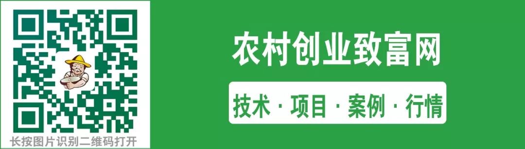 致富经牛_致富牛人李良华_致富牛人