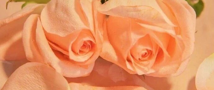 10月再见，11月你好！