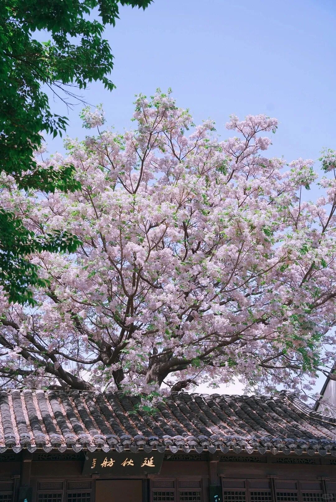 是哪个天才发现的这个机位❓这也太好看了‼️_5_环岛旅行_来自小红书网页版.jpg