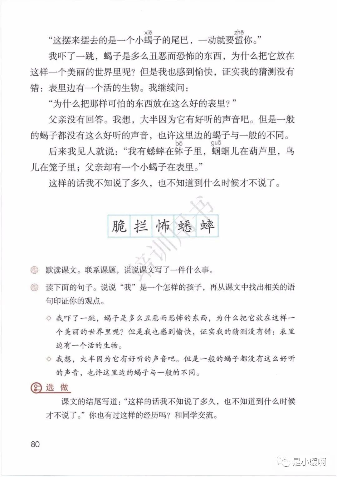 概括祖父的表_异常生物见闻录剧情概括_表里的生物概括