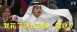 卡塔尔在举办一种很新的世界杯？看完这32个知识点，我乐了