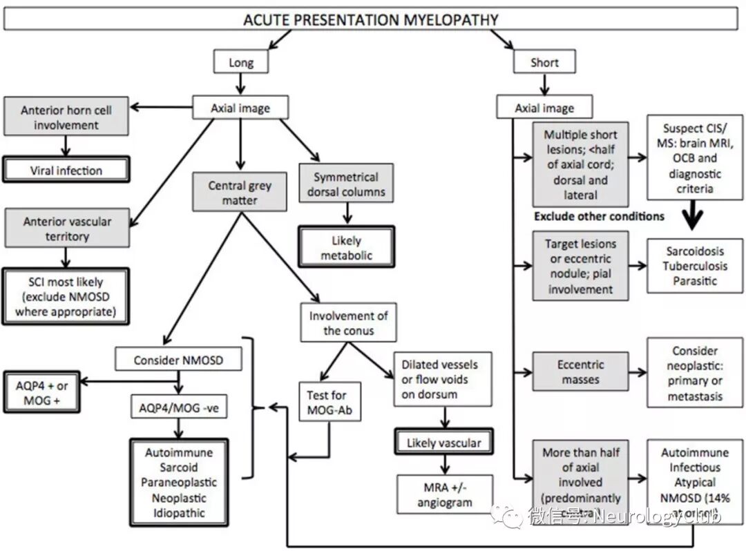 脊髓疾病的临床思维和诊断流程 神经病学俱乐部