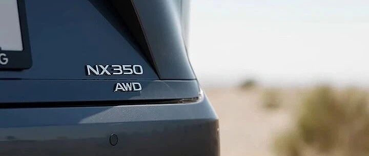 准备加价？全新雷克萨斯NX全面革新，多种动力选择