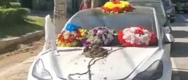 男子摆花圈维权，特斯拉：碰瓷！