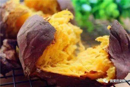 西红柿传入中国的朝代_西红柿什么时候传入中国_西红柿传入我国时间