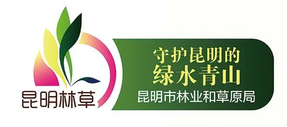 【昆明林草】寒武系管护局积极参加2024年全国科普讲解大赛云南推荐活动