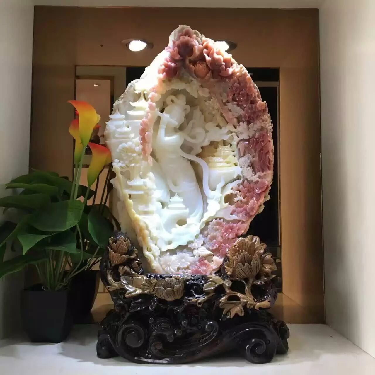 富有前景的海底玉——砗磲