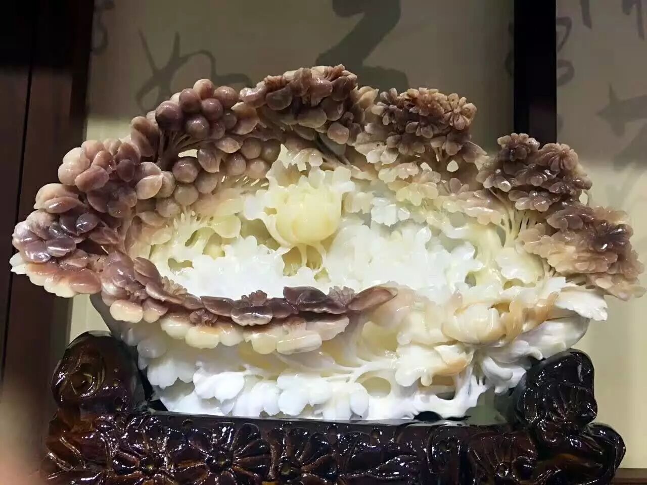 富有前景的海底玉——砗磲