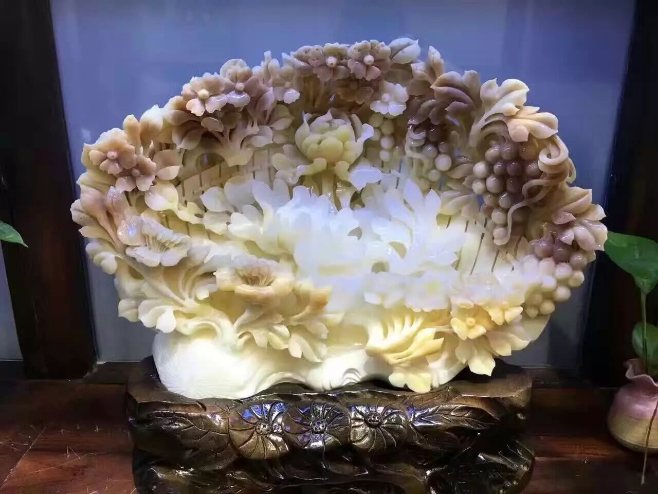 富有前景的海底玉——砗磲